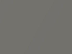 Ford F Series Argent Metallic 2007 XPQC - Scratch Repair