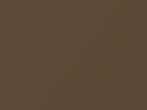 Toyota All Models Bronze Mica 2006 4T0