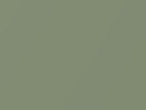 Volkswagen All Models Gecko Light Green Pearl 2008 8U, LA6K