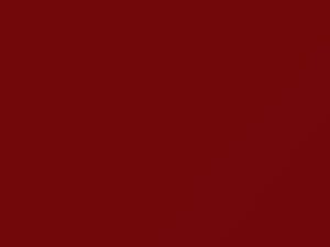 Fiat All Models Rosso Segnale 1998 081A