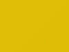Suzuki All Models Champion Yellow 4 2010 ZFT
