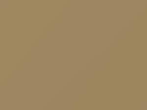 Toyota Fj Cruiser Beige 2008 4U0 - Scratch Repair