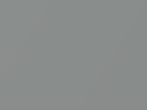 Honda All Models Light Silver Metallic 2011 NH595M