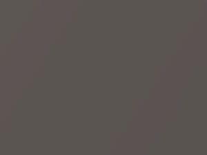 Aston Martin V8 Vantage Oyster Silver Mica 2007 1340 - Scratch Repair