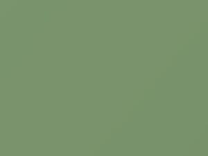 Volkswagen All Models Lintgruen 2005 65095, LL6F, V4, V4V4 - Scratch Repair