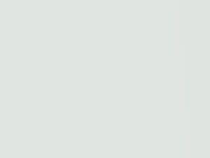 Honda All Models White Jade Pearl 2008 NH776P - Scratch Repair