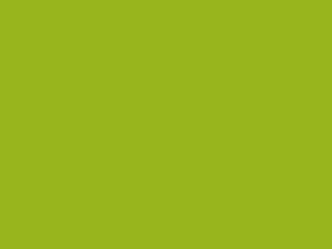 Kia All Models Lime Twist 2011 LAR