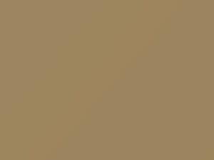 Jeep All Models Sahara Tan 2012 JFD, PFD