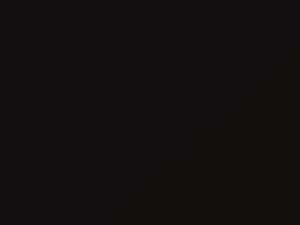 Nissan All Models Malbec Black Metallic 2014 GAC - Scratch Repair