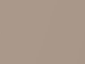 Daihatsu All Models Pale Beige Metallic 2016 T24