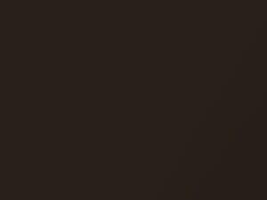 Audi A5 Cabrio Teakbraun Pearl 2008 4U, LZ8W