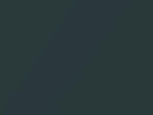 Chevrolet All Models Desert Bloom Metallic 2011 GMN - Scratch Repair