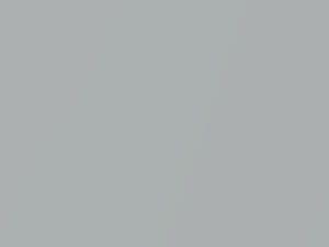 Saab All Models Snow Silver Metallic 2008 18R, 467P