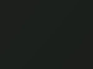 Volkswagen All Models Derbygruen Pearl 2006 8S, LC6S - Scratch Repair