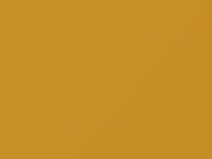 Suzuki All Models Extreme Yellow Metallic/Xtreme Yellow Pearl 2005 ZCJ