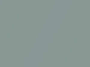 Toyota All Models Light Green Mica 1991 6L6