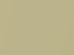 Ford Fiesta Spa Metallic 2010 696, 8TJE, 8TJEWWA - Scratch Repair