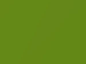 Dodge Viper Snakeskin Green Pearl 2008 GGS, PGS - Scratch Repair