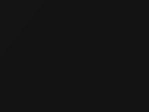 Cadillac All Models Black Metallic 1989 14, 8767, WA8767 - Scratch Repair