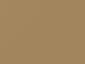 Oldsmobile All Models Light Driftwood 1987 63, 8744, WA8744 - Scratch Repair