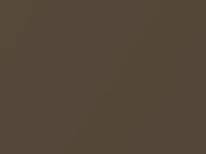 Ford All Models Medium Sandalwood Metallic 1989 62, AW, M6312A - Scratch Repair