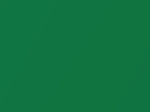 Honda All Models Samba Green Pearl 1994 GY15P