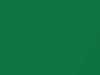 Honda All Models Samba Green Pearl 1994 GY15P