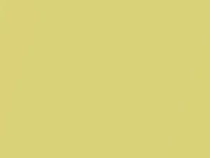 Mitsubishi All Models Cairo Yellow Mica 1992 AC10996, Y96
