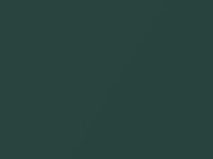 Ford All Models Alpine Green Metallic 1990 42, M6176A, SC