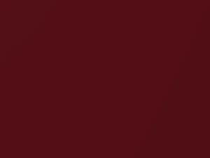 Ford All Models Hot Red Mica 1997 FR
