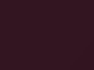 Porsche All Models Amethyst Pearl 1995 38A