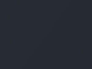 BMW 3 Series Fjord Gray Metallic/Fjordgrau Metallic 1999 310