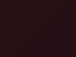 Mazda Protege Bordeaux Mica 1992 6R