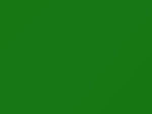 Honda All Models Egmont Green 1989 GY9