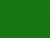 Honda All Models Egmont Green 1989 GY9