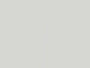 Suzuki Swift Arctic White Pearl 2010 ZHJ