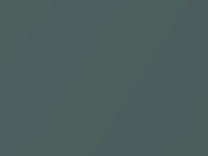 Suzuki Swift Metallic Smoky Green 2012 ZRM