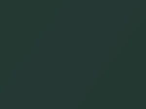 Hyundai Elantra Olive Green Metallic 1996 XE - Scratch Repair