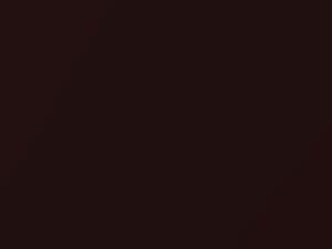 BMW All Models Brokatrot Metallic 1989 259 - Scratch Repair