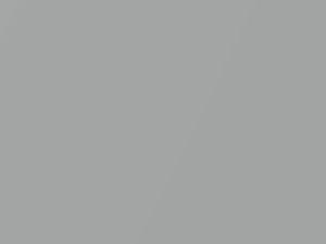 Jeep All Models Silver Metallic 1989 AC10884, H84