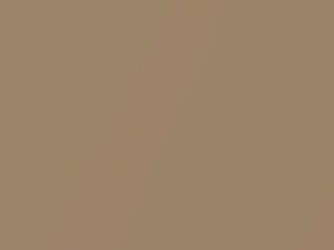 Chevrolet Cavalier Light Camel Metallic 1992 67, 9649, WA9649 - Scratch Repair