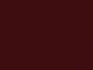 Ford All Models Dark Berry Metallic 1995 6706, FF, M6706A