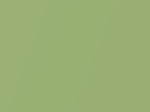 Daihatsu All Models Lime Green Metallic 2014 G51