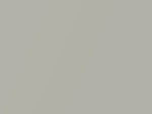 Mitsubishi Lancer Springs Silver Metallic 1995 AC11081, H81 - Scratch Repair