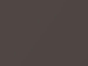 Mitsubishi All Models Tasmanian Brown Metallic 1992 AC10928, C28 - Scratch Repair