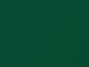 Mitsubishi Colt Cancun Green 1995 AC11039, G39 - Scratch Repair