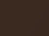 Nissan All Models Autumn Brown Pearl 1992 CK1