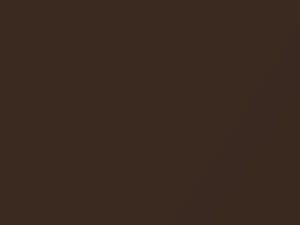 Nissan Maxima Autumn Brown Pearl 1992 CK1 - Scratch Repair