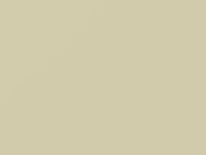 Nissan All Models Ivory White 1990 KG5 - Scratch Repair