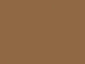 Ford Heavy Truck Pawnee Tan 1993 4D, AV, M6403A